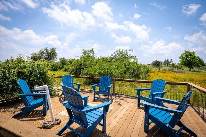 Blue Adirondack chairs on a wooden deck over a yellow wildflower field